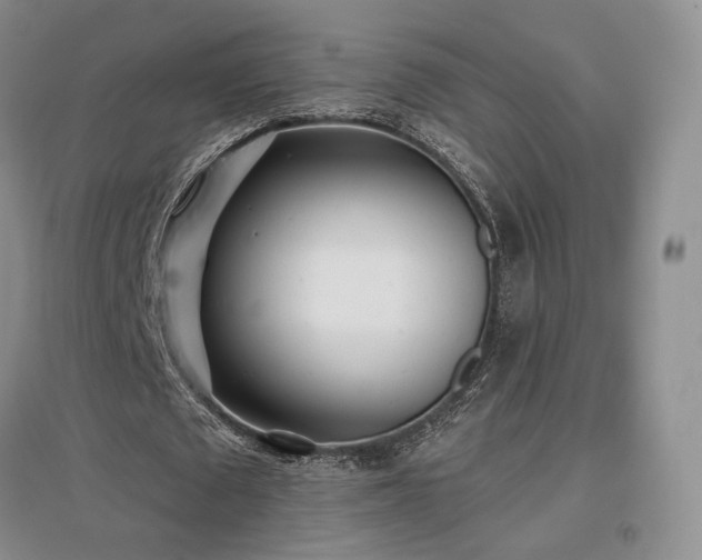 X0000097510673200802221507