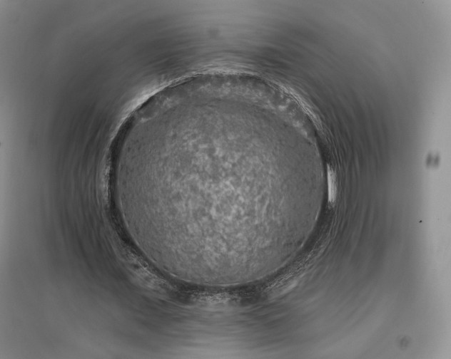X0000097510675200802221507