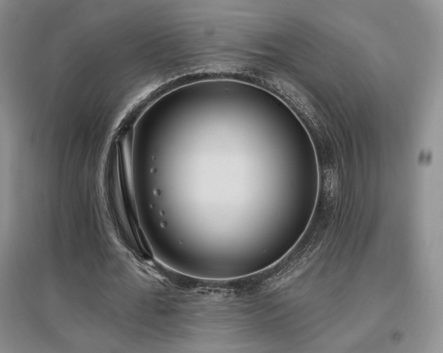 X0000097510676200802221507