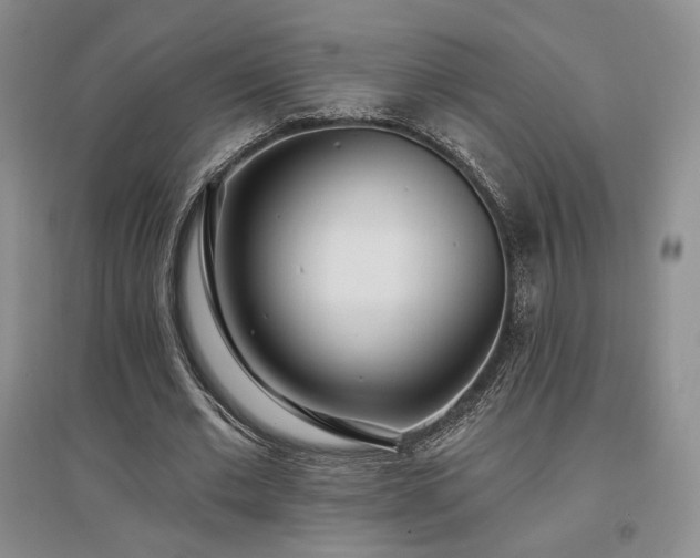 X0000097510677200802221507