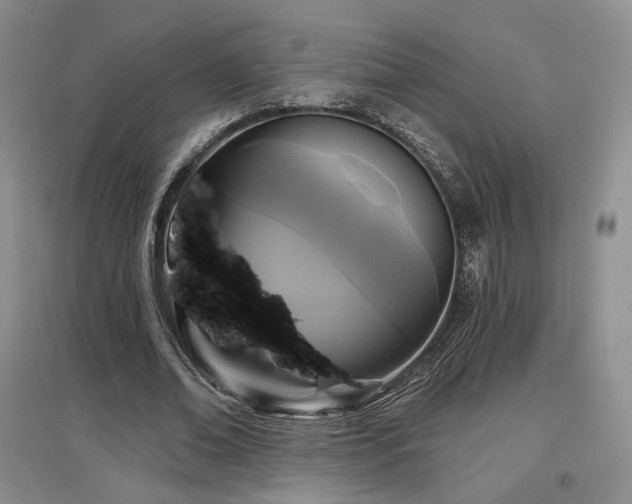 X0000097510678200802221507