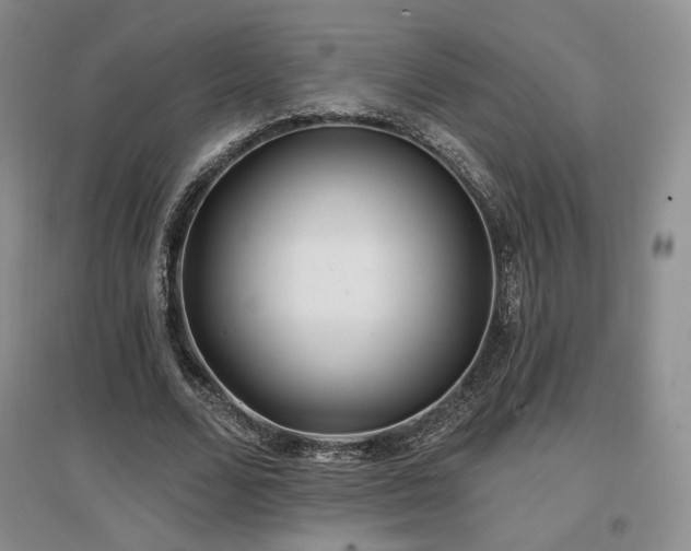 X0000097510680200802221507