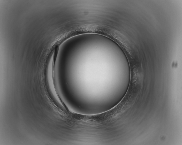 X0000097510681200802221507