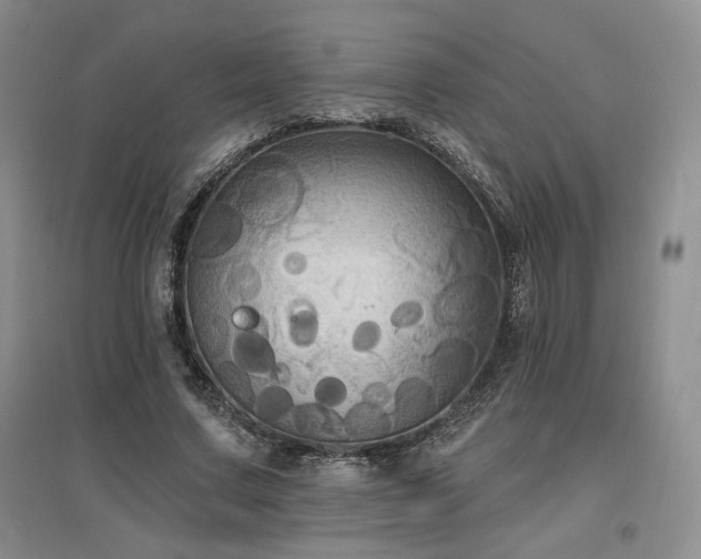X0000097510683200802221507