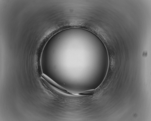 X0000097510684200802221507