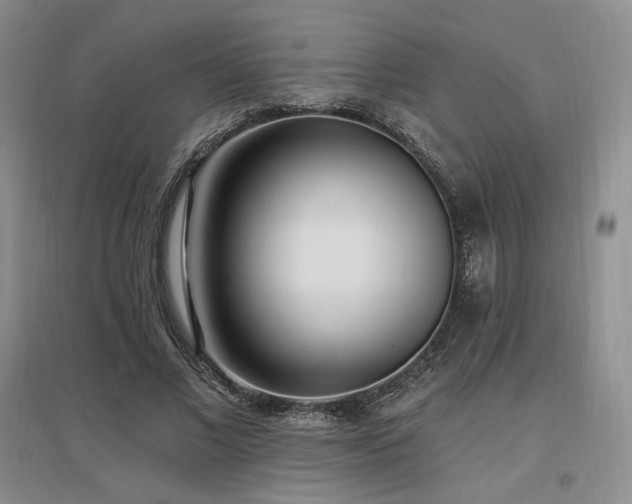 X0000097510685200802221507