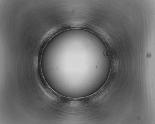 X0000097510686200802221507