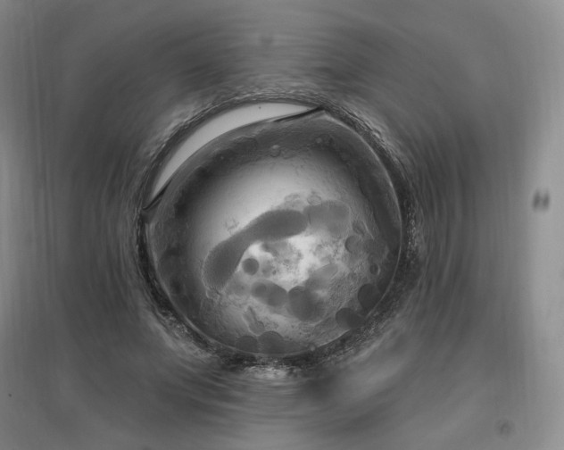 X0000097510687200802221507