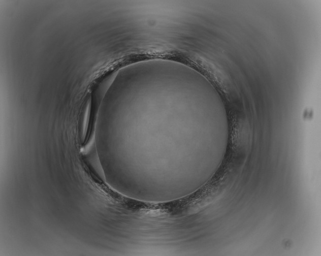 X0000097510689200802221507