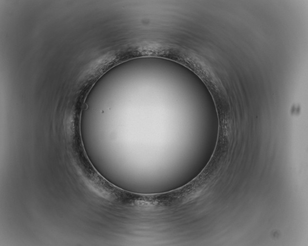 X0000097510690200802221507