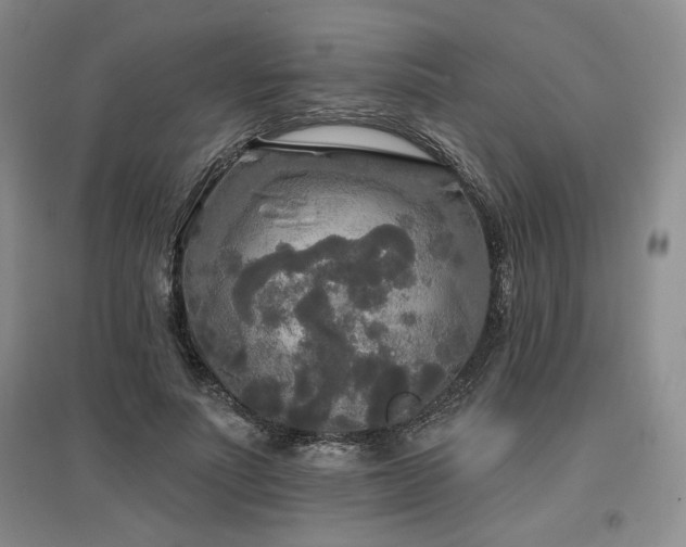X0000097510691200802221507