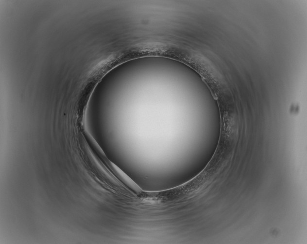 X0000097510692200802221507