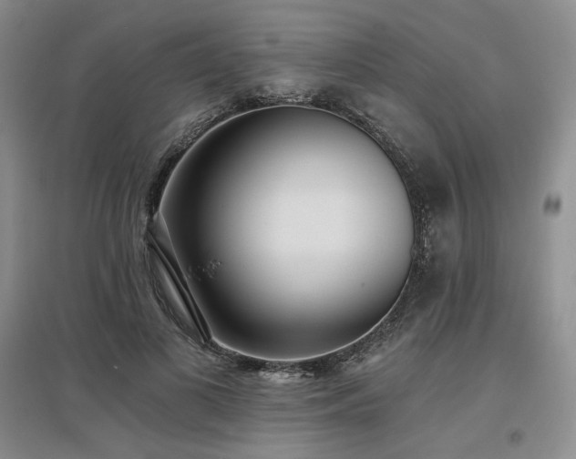 X0000097510693200802221507