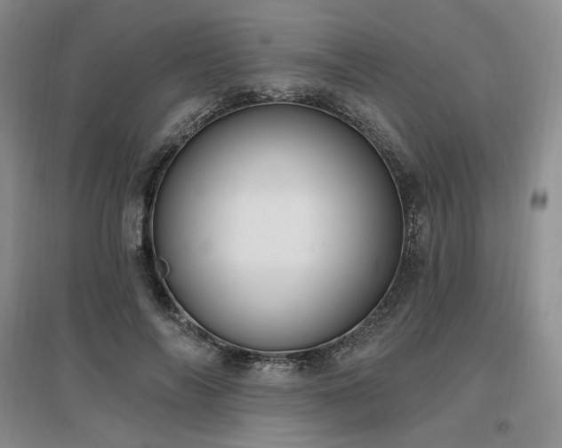 X0000097510694200802221507