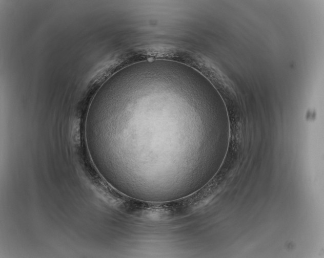 X0000097510696200802221507