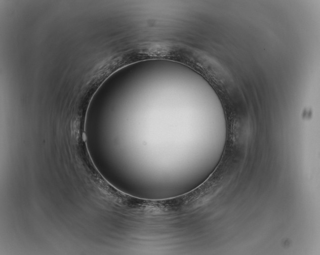 X0000097510697200802221507