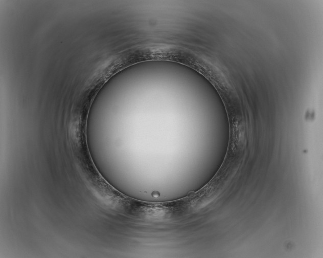 X0000097510698200802221507