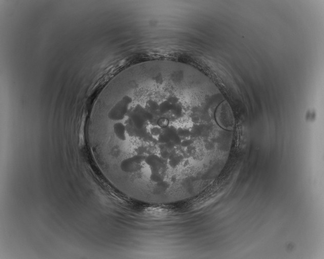 X0000097510699200802221507
