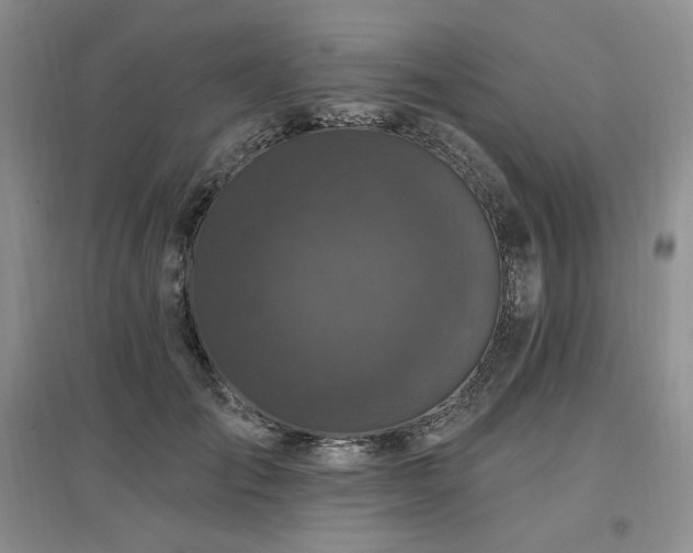X0000097510701200802221507