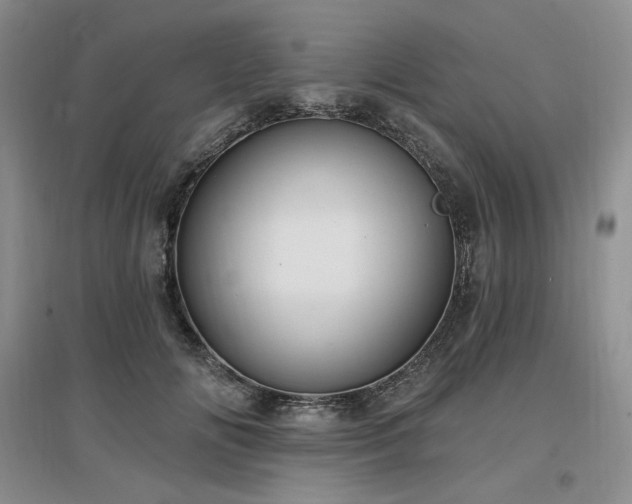X0000097510702200802221507