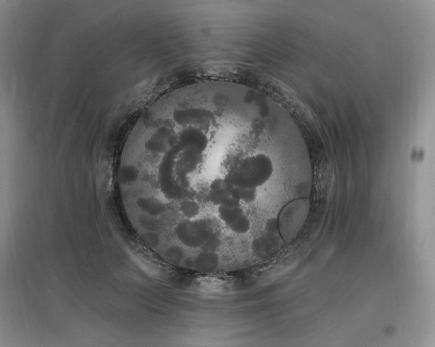 X0000097510703200802221507