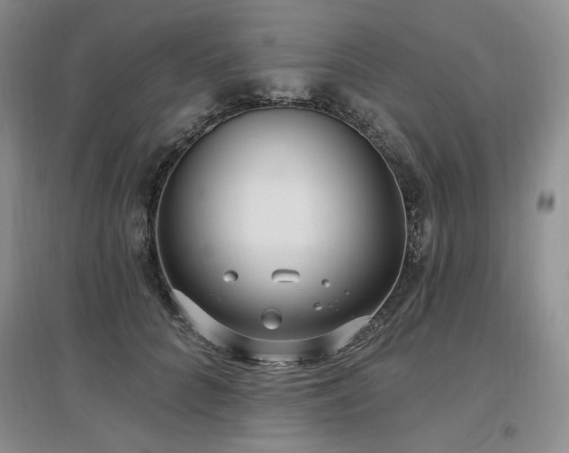 X0000097510704200802221507