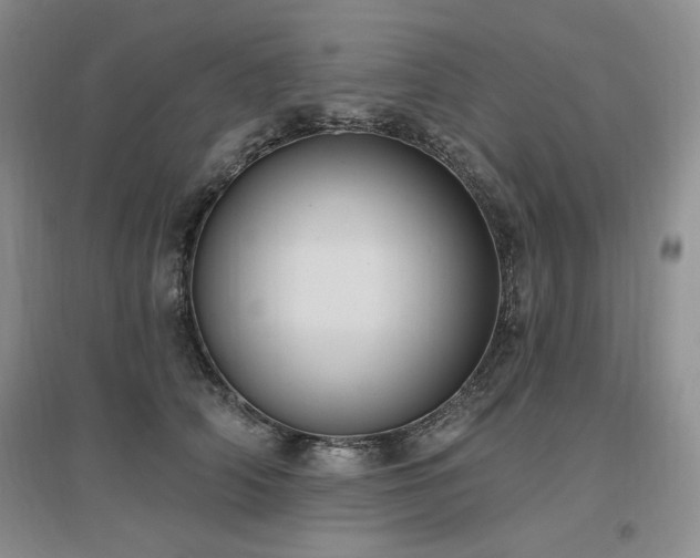 X0000097510706200802221507