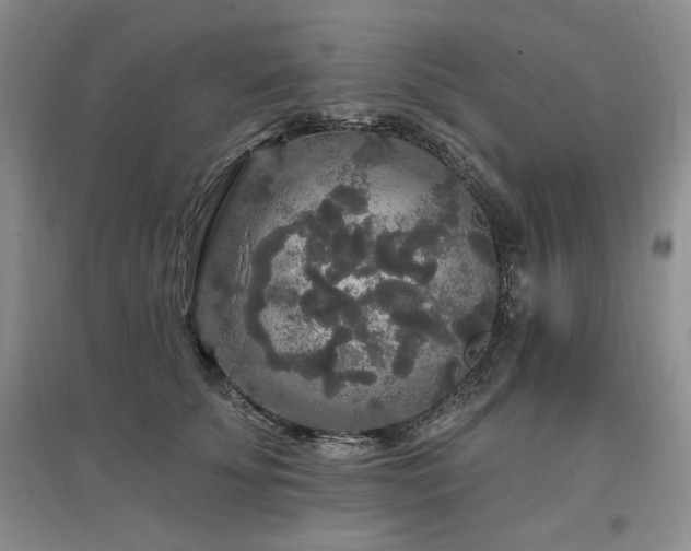 X0000097510707200802221507