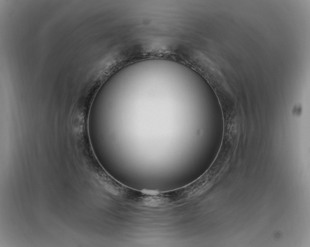 X0000097510708200802221507