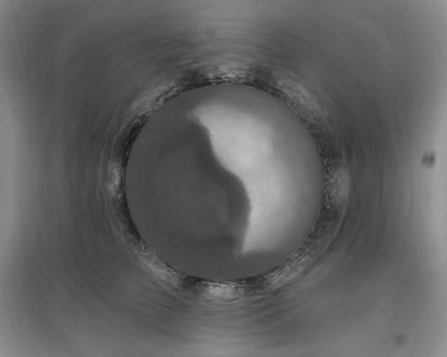 X0000097510709200802221507