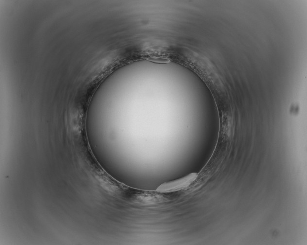 X0000097510712200802221507