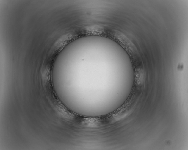 X0000097510713200802221507