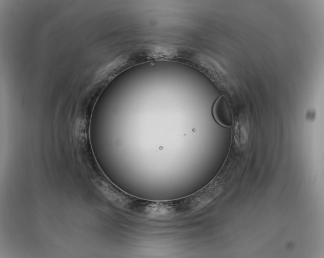 X0000097510714200802221507