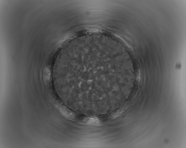 X0000097510715200802221507