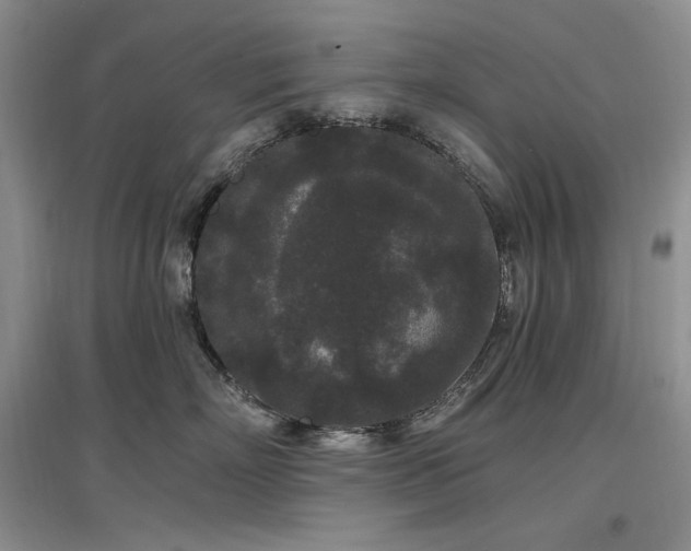 X0000097510718200802221507