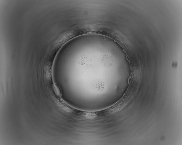 X0000097510719200802221506