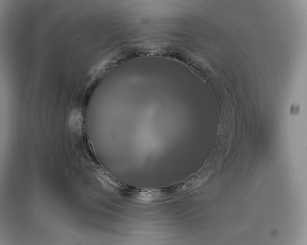 X0000097510720200802221506