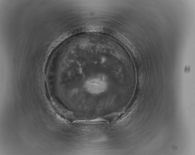 X0000097510721200802221506