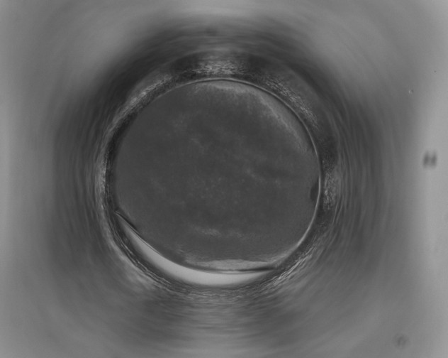 X0000097510722200802221506