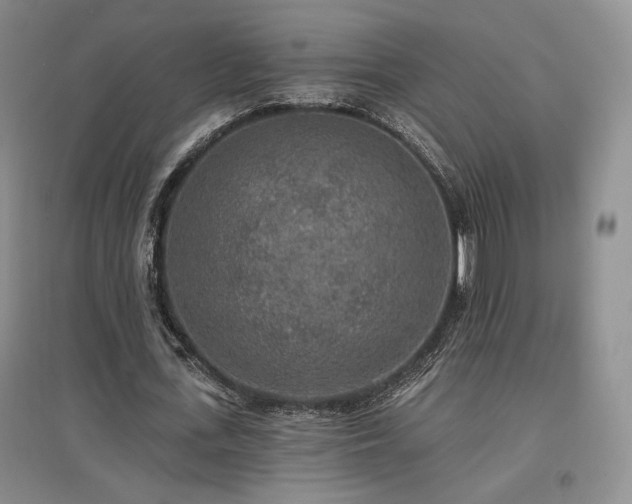 X0000097510723200802221506