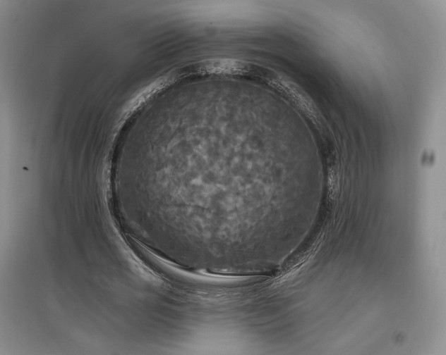 X0000097510725200802221506