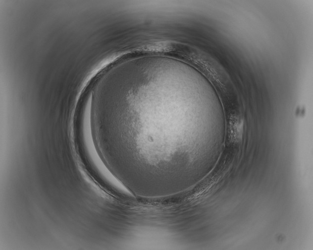 X0000097510726200802221506