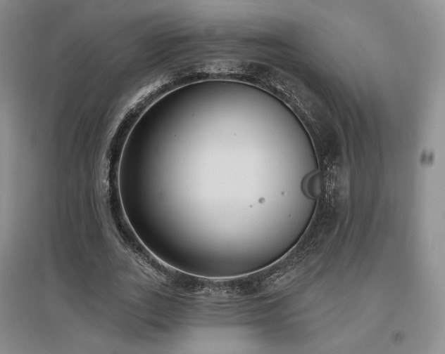X0000097510727200802221506