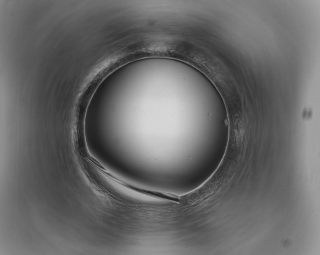 X0000097510728200802221506