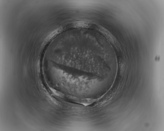 X0000097510729200802221506