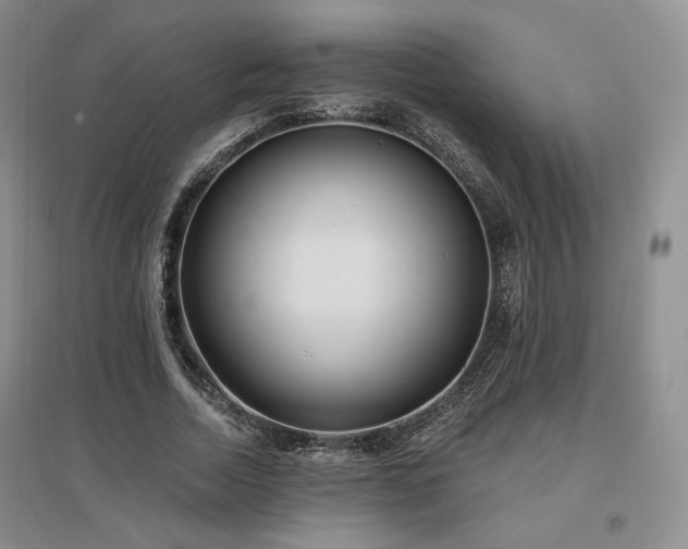 X0000097510730200802221506