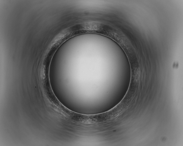 X0000097510731200802221506
