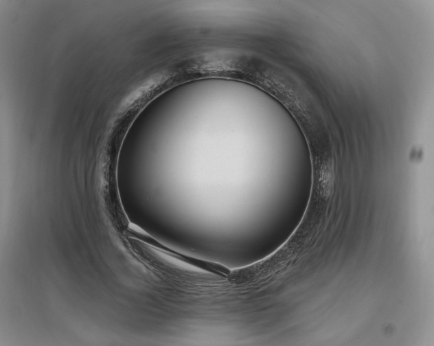 X0000097510732200802221506