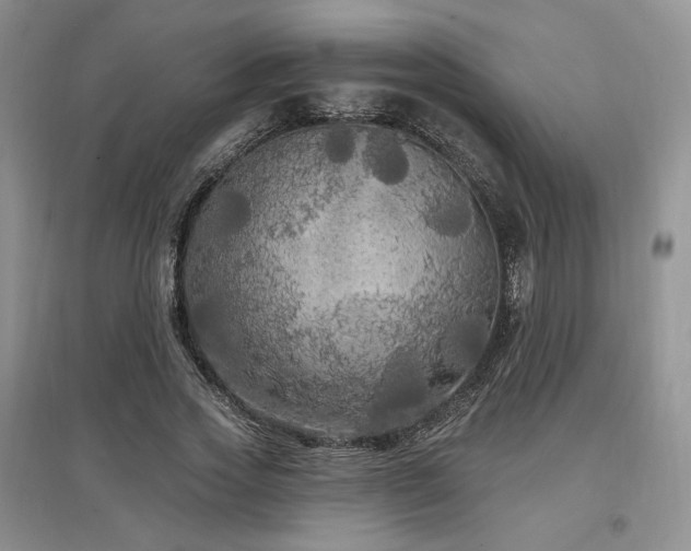 X0000097510733200802221506