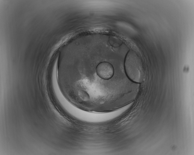X0000097510734200802221506